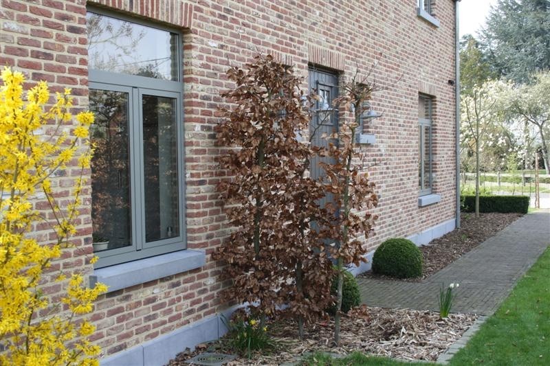 Aluminium raam en houten deur - Aluminium raam en houten deur